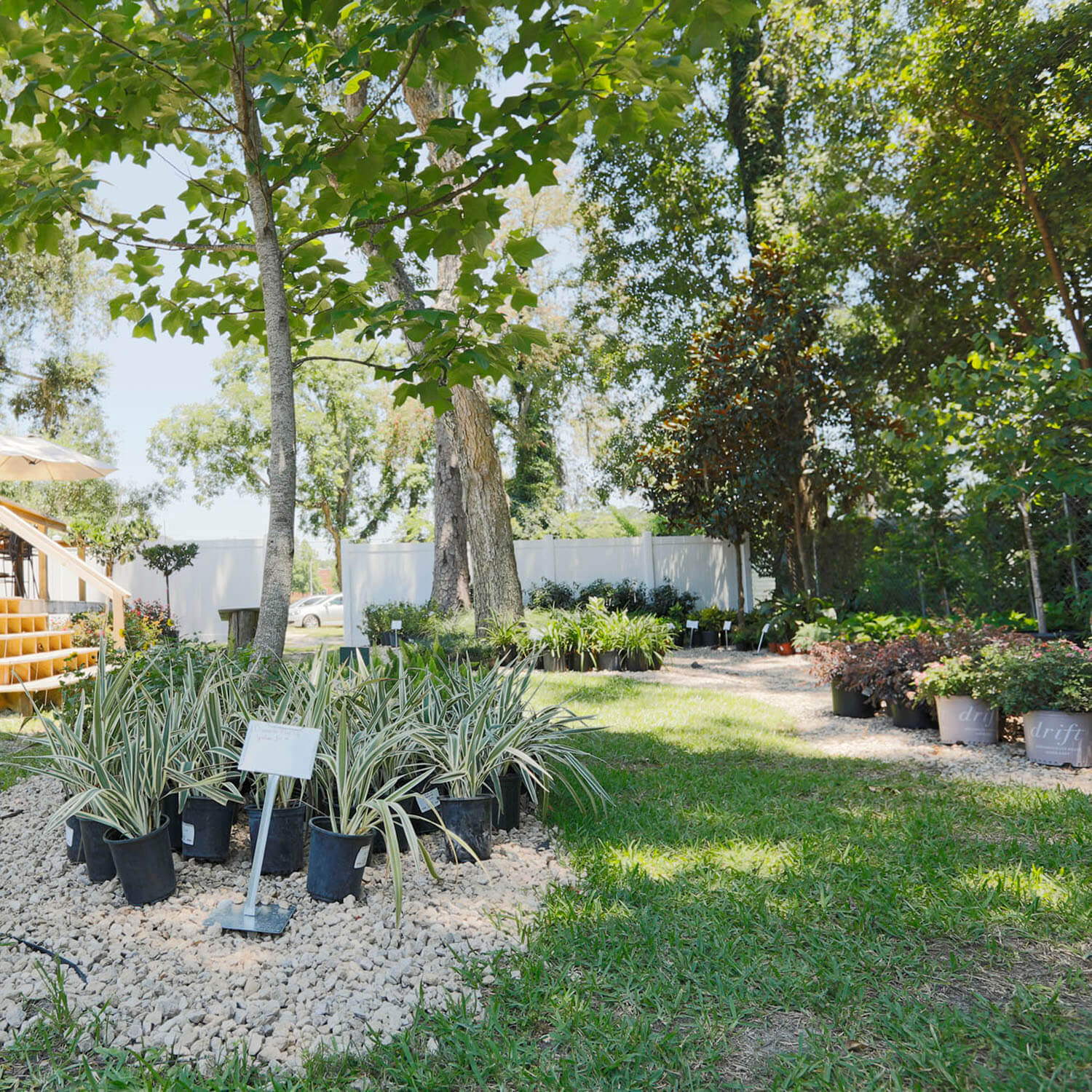 garden center image